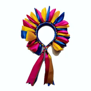 Diadema multicolor