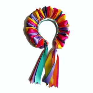 Diadema multicolor