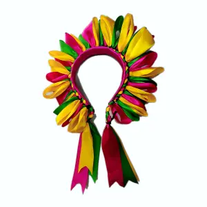 Diadema multicolor