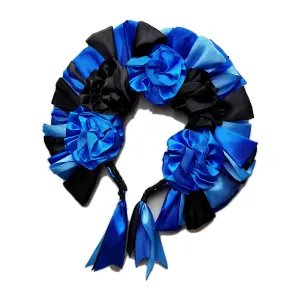 Diadema azul y negro