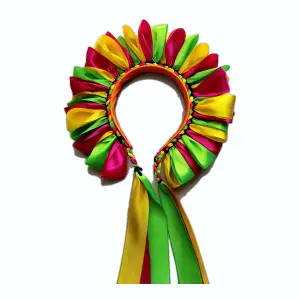 Diadema multicolor