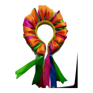 Diadema multicolor