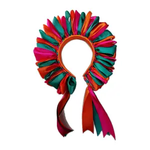 Diadema multicolor